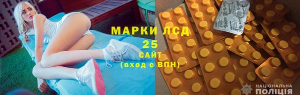 ГАЛЛЮЦИНОГЕННЫЕ ГРИБЫ Алексин