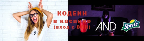 дмт Медвежьегорск