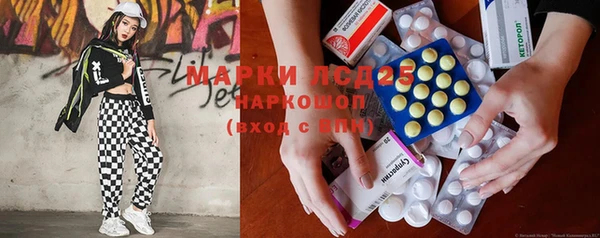 прущие грибы Медногорск