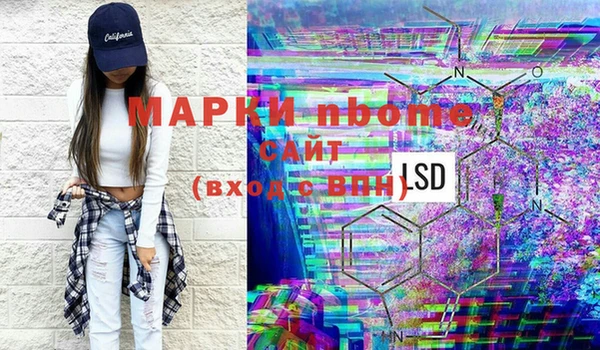 ГАЛЛЮЦИНОГЕННЫЕ ГРИБЫ Алексин