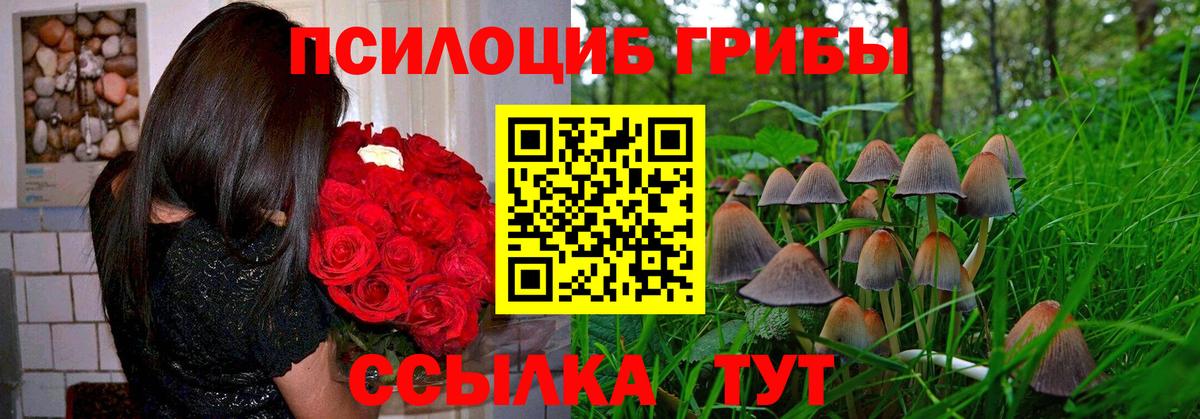 Галлюциногенные грибы MAGIC MUSHROOMS Апатиты