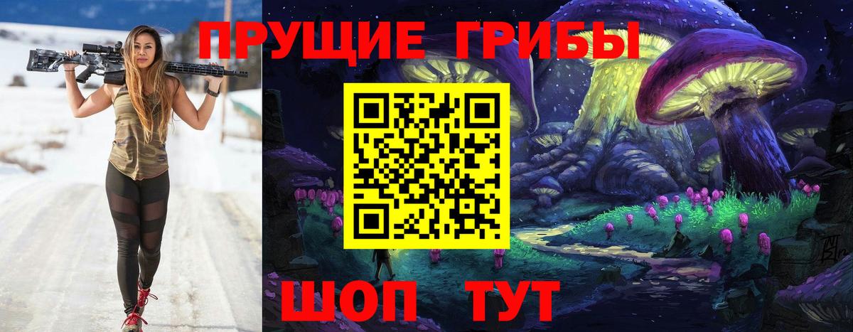 Апатиты  Псилоцибиновые грибы Psilocybe  где найти   Вход с VPN 