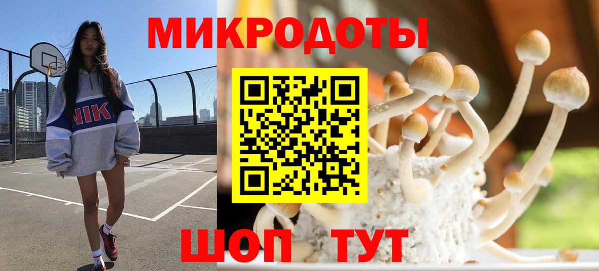 Галлюциногенные грибы прущие грибы  Вход с VPN  Апатиты 